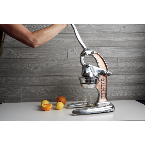 Verve Culture Countertop Citrus Juicer & Reviews Wayfair